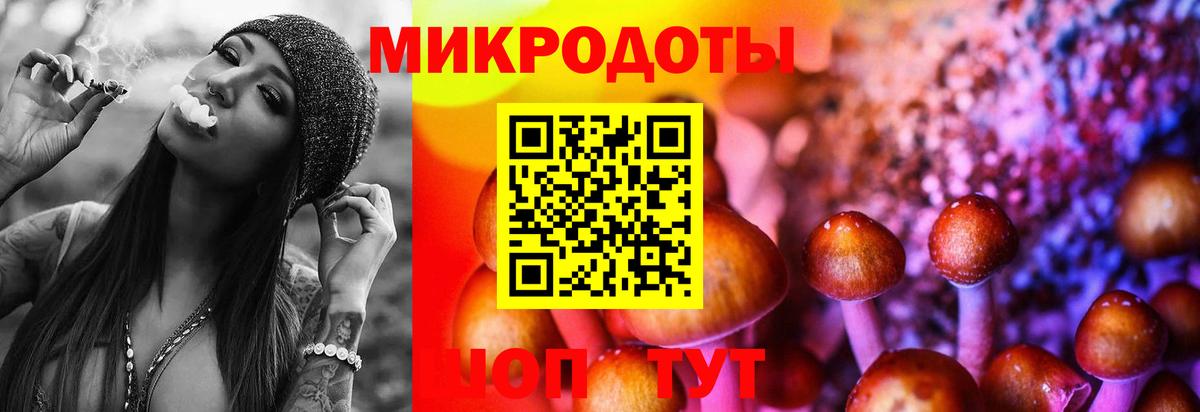 Северск  Псилоцибиновые грибы ЛСД  Вход с VPN 
