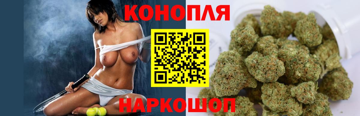 Бошки марихуана OG Kush  Вход с VPN  Северск  Канабис MAZAR 